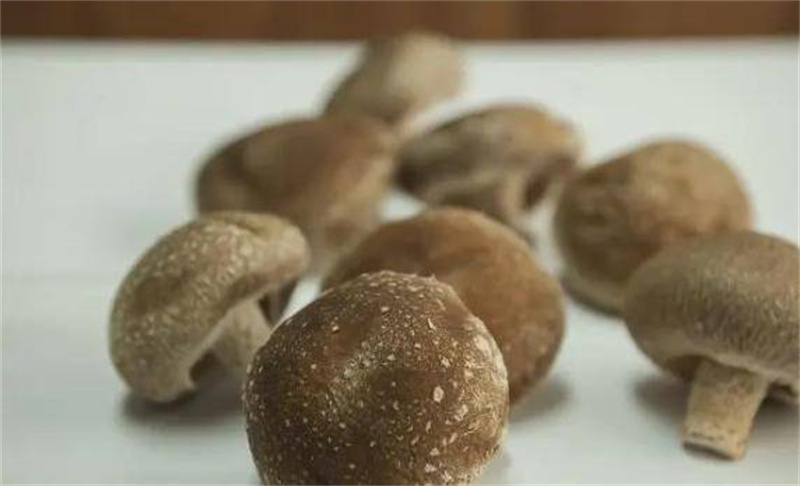图片细节